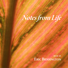 Notes_from_Life_thumbnail.jpg
